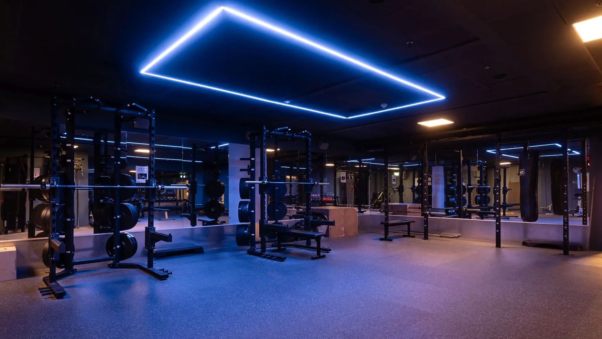 SISSELS TRENING – bilde 3