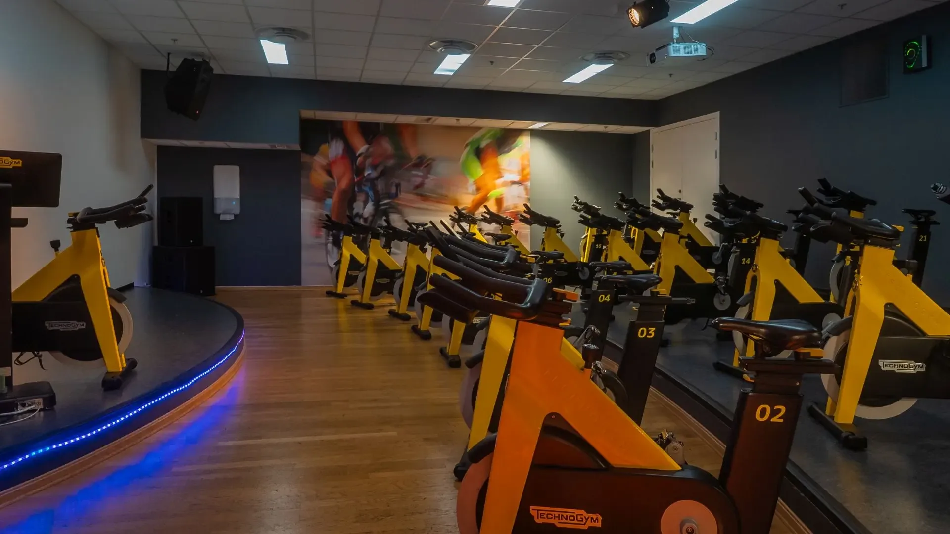 SISSELS TRENING – bilde 5