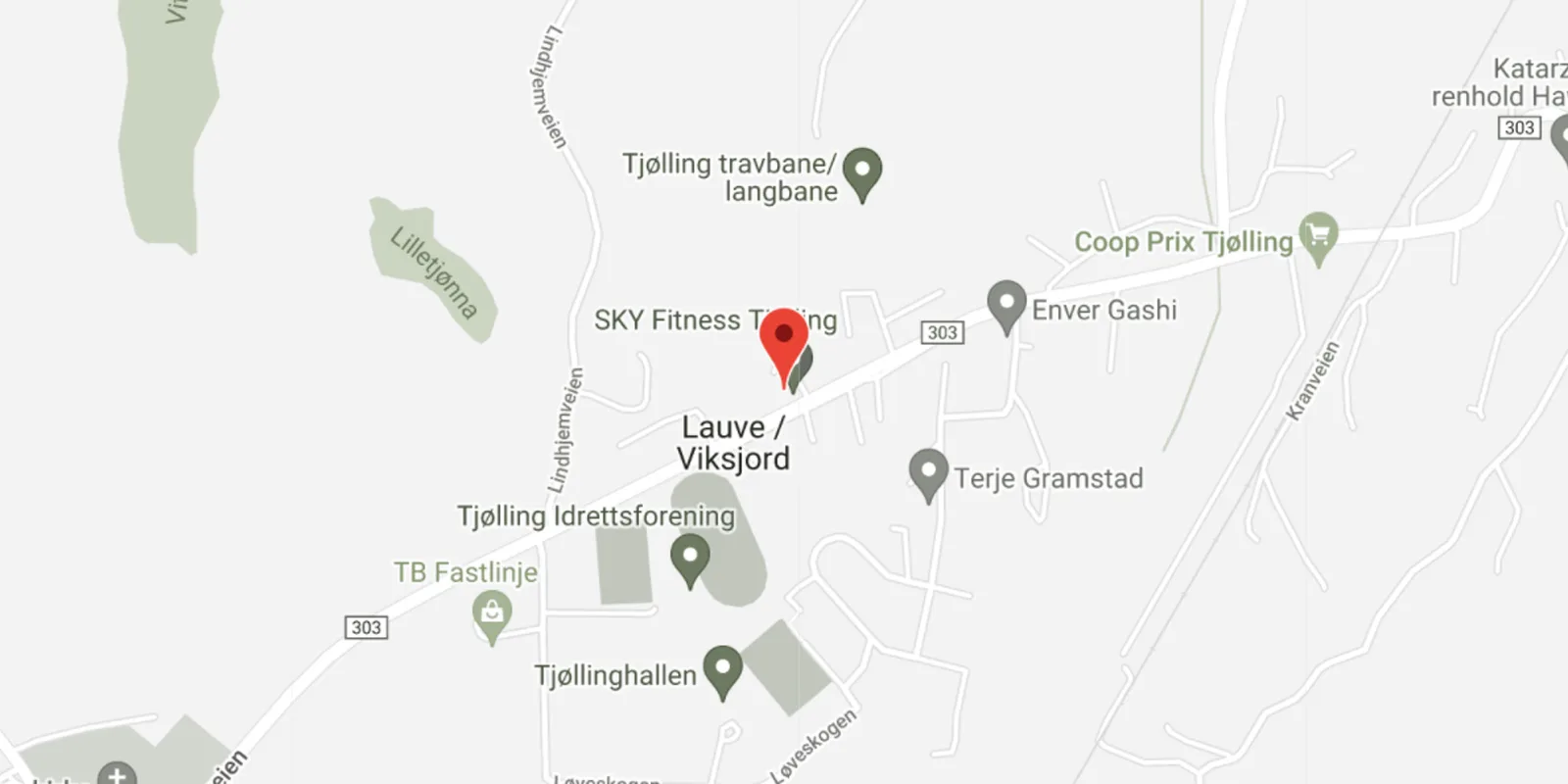 SKY Fitness Tjølling – bilde 1