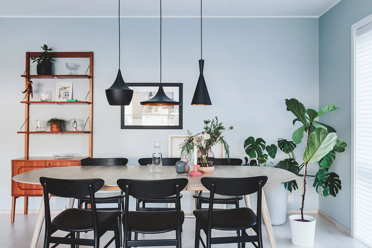 SOFIE BROVOLD – bilde 2