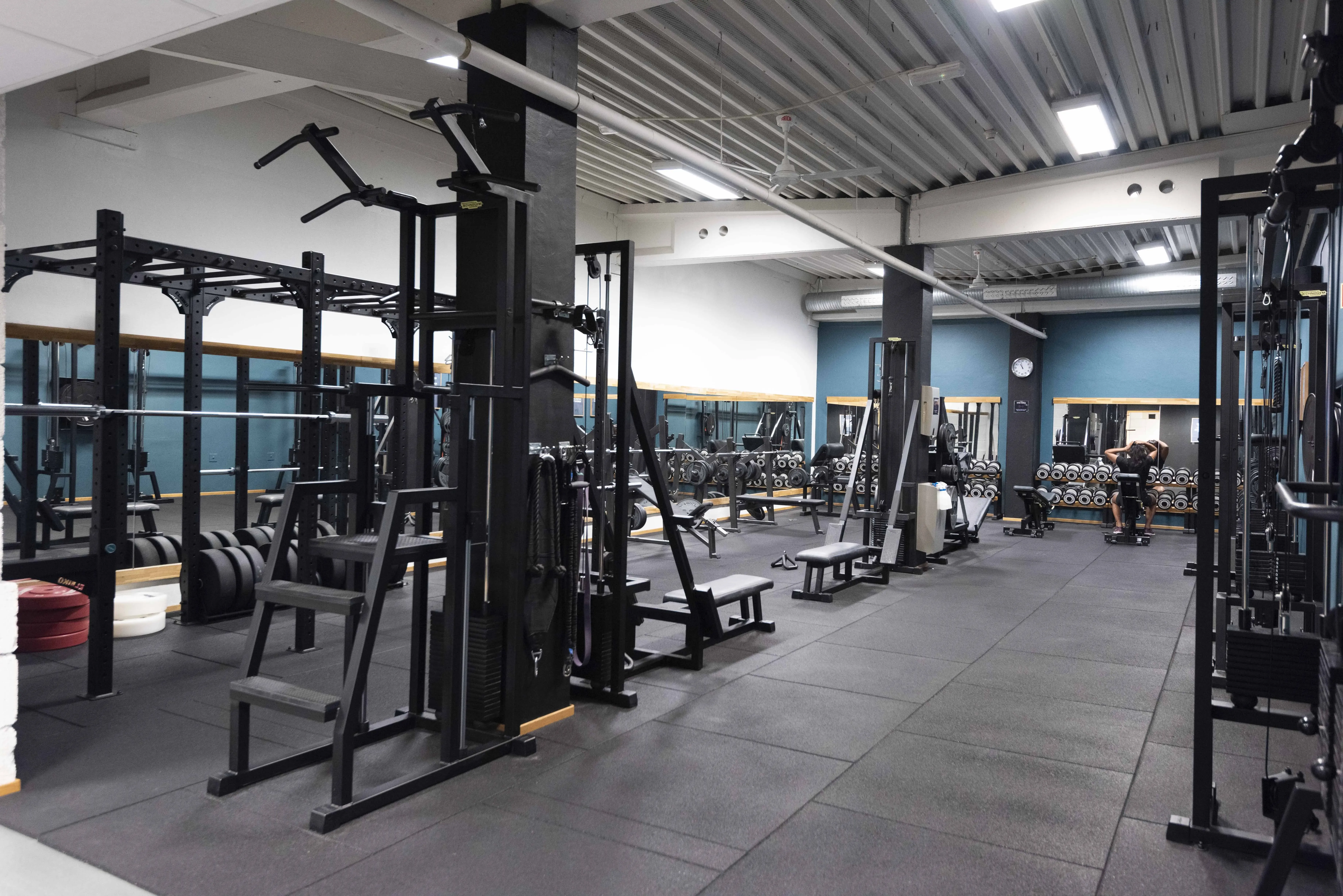 Spenst Moss – bilde 8