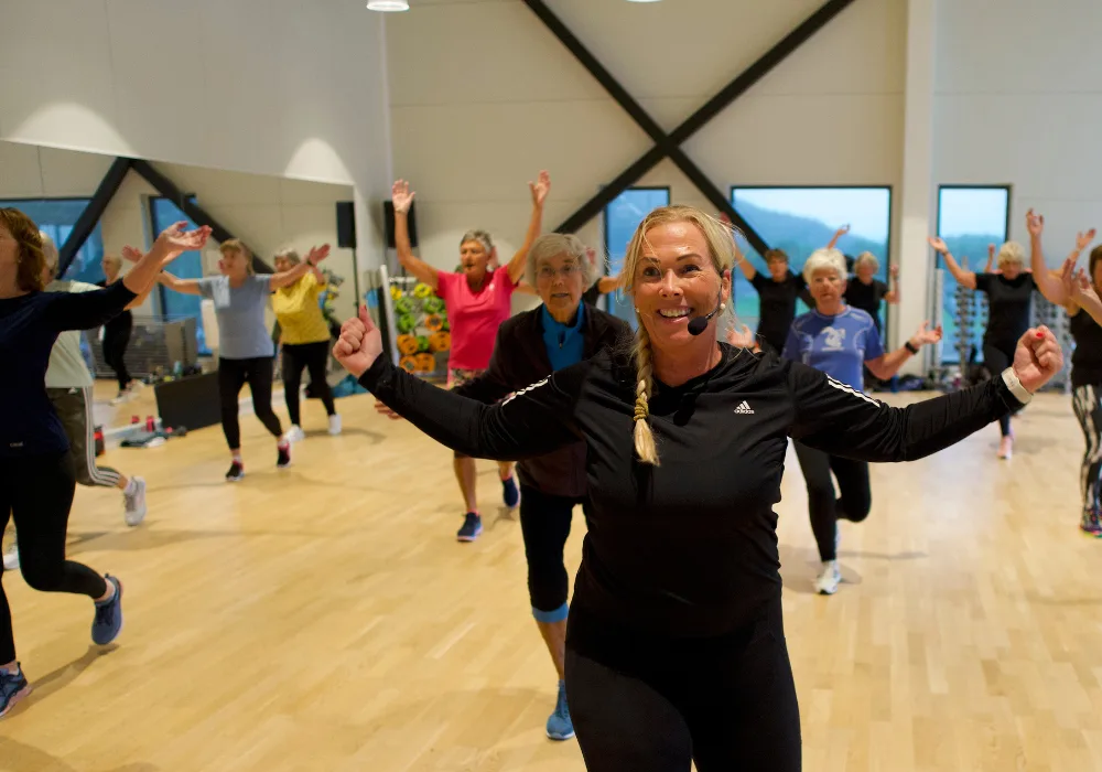 Spenst Skjold – bilde 3