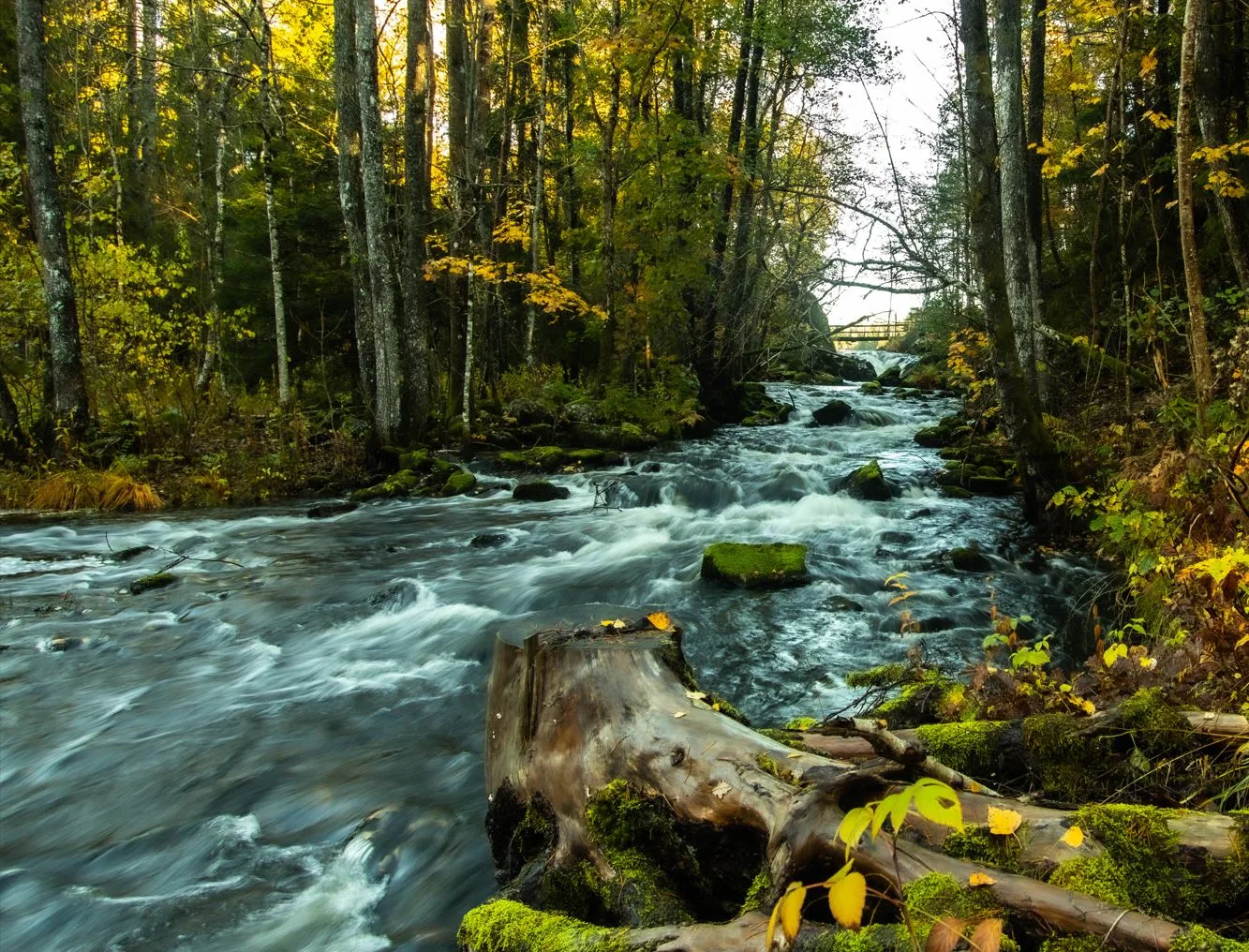 SPRO ART – bilde 4