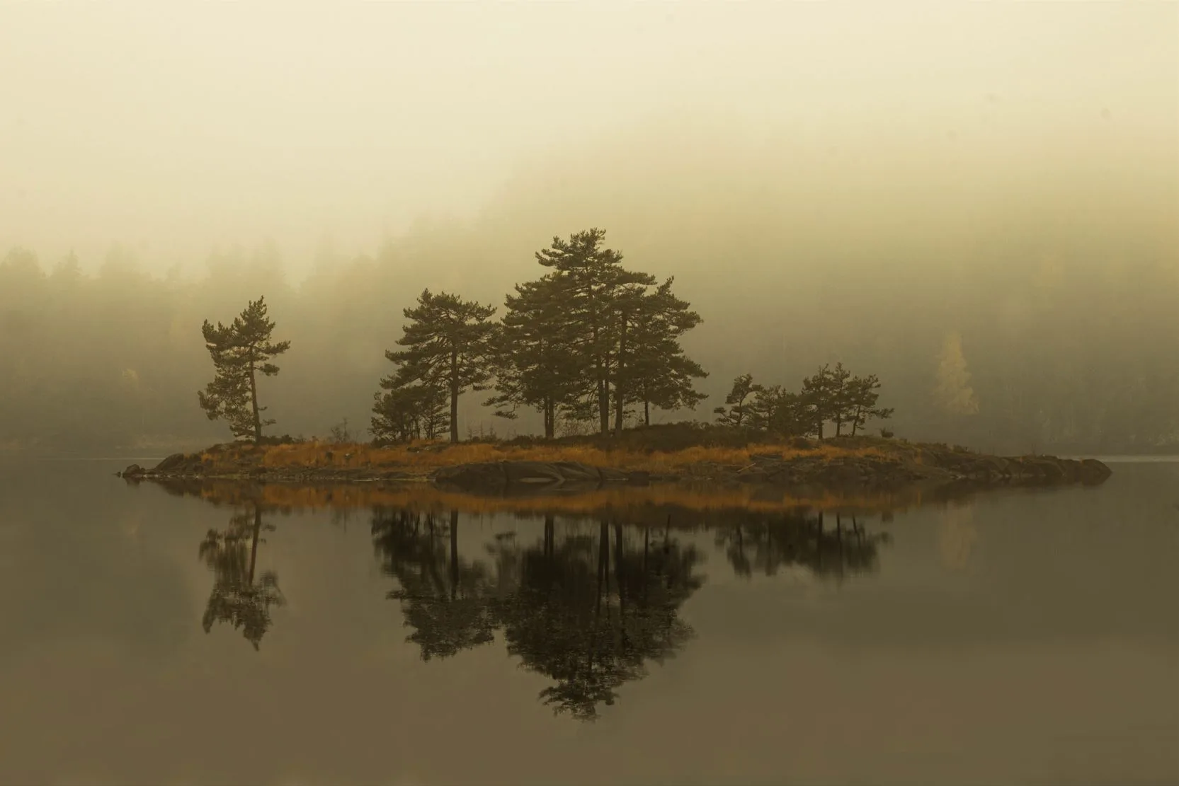 SPRO ART – bilde 5