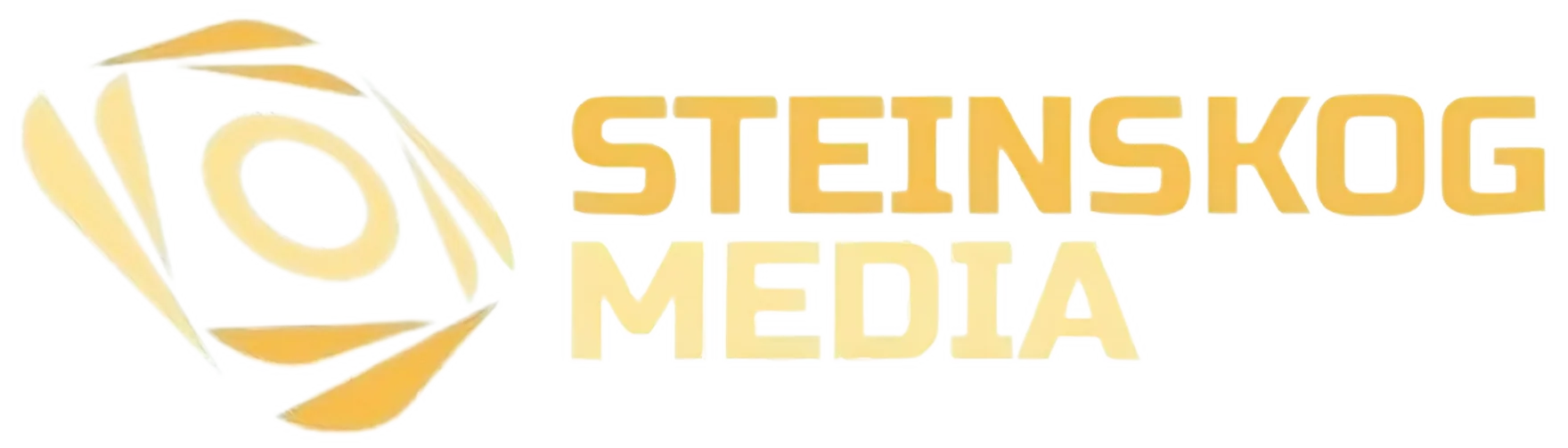 STEINSKOG MEDIA