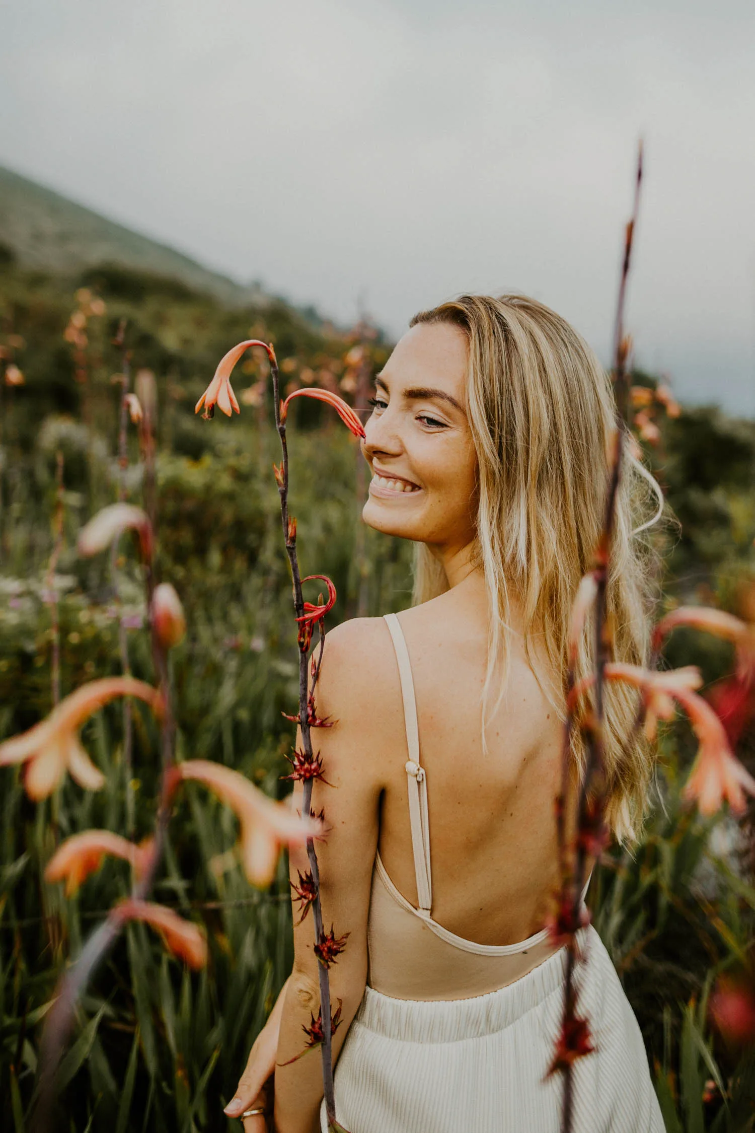 STORYTELLER SORTHE – bilde 1