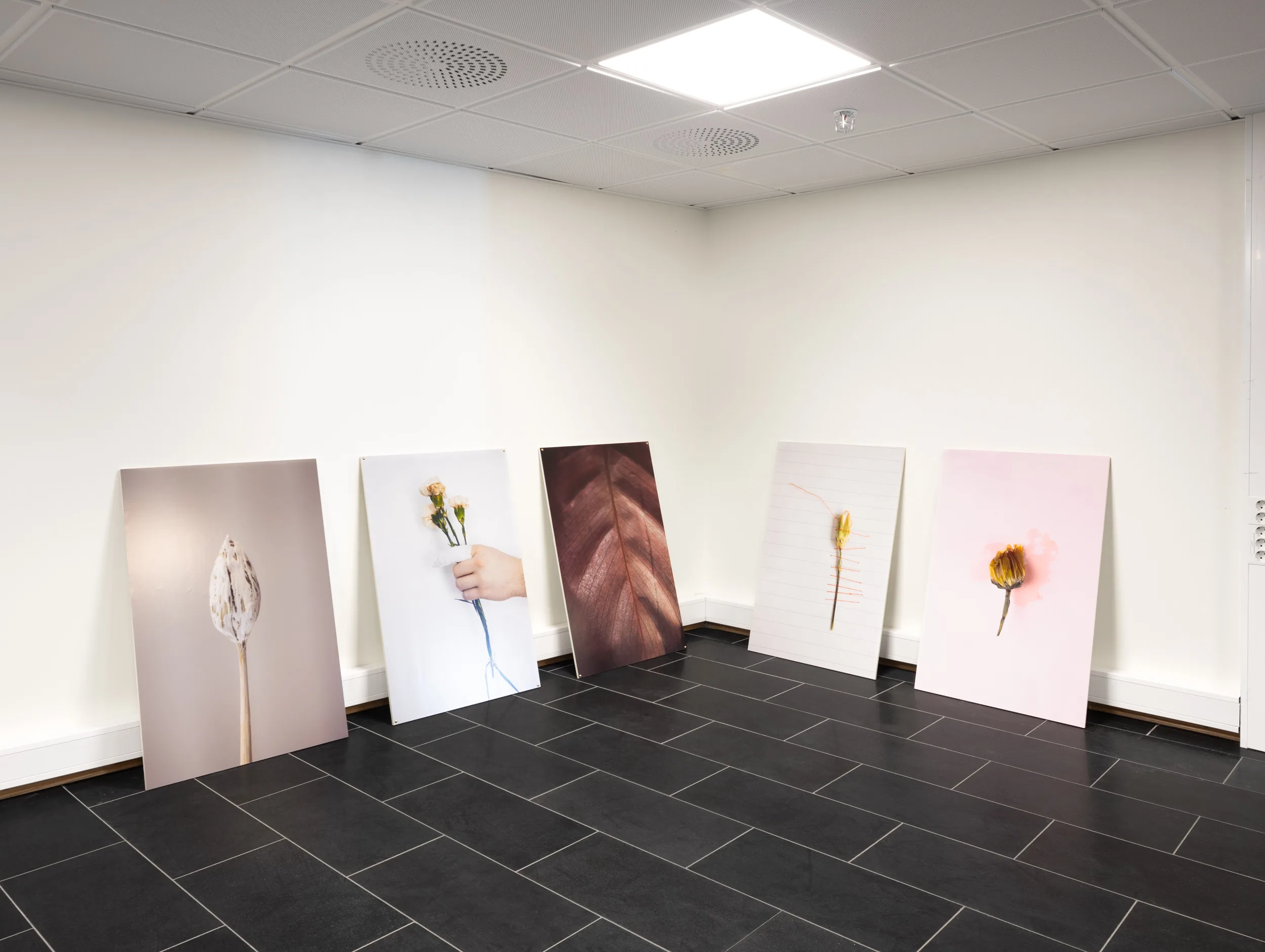 THEA MERLI FOTO – bilde 4