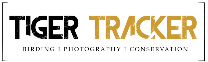 TIGER TRACKER RAJAT PAL SINGH