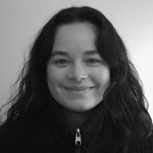 TRAFIKKSIKKER – bilde 3