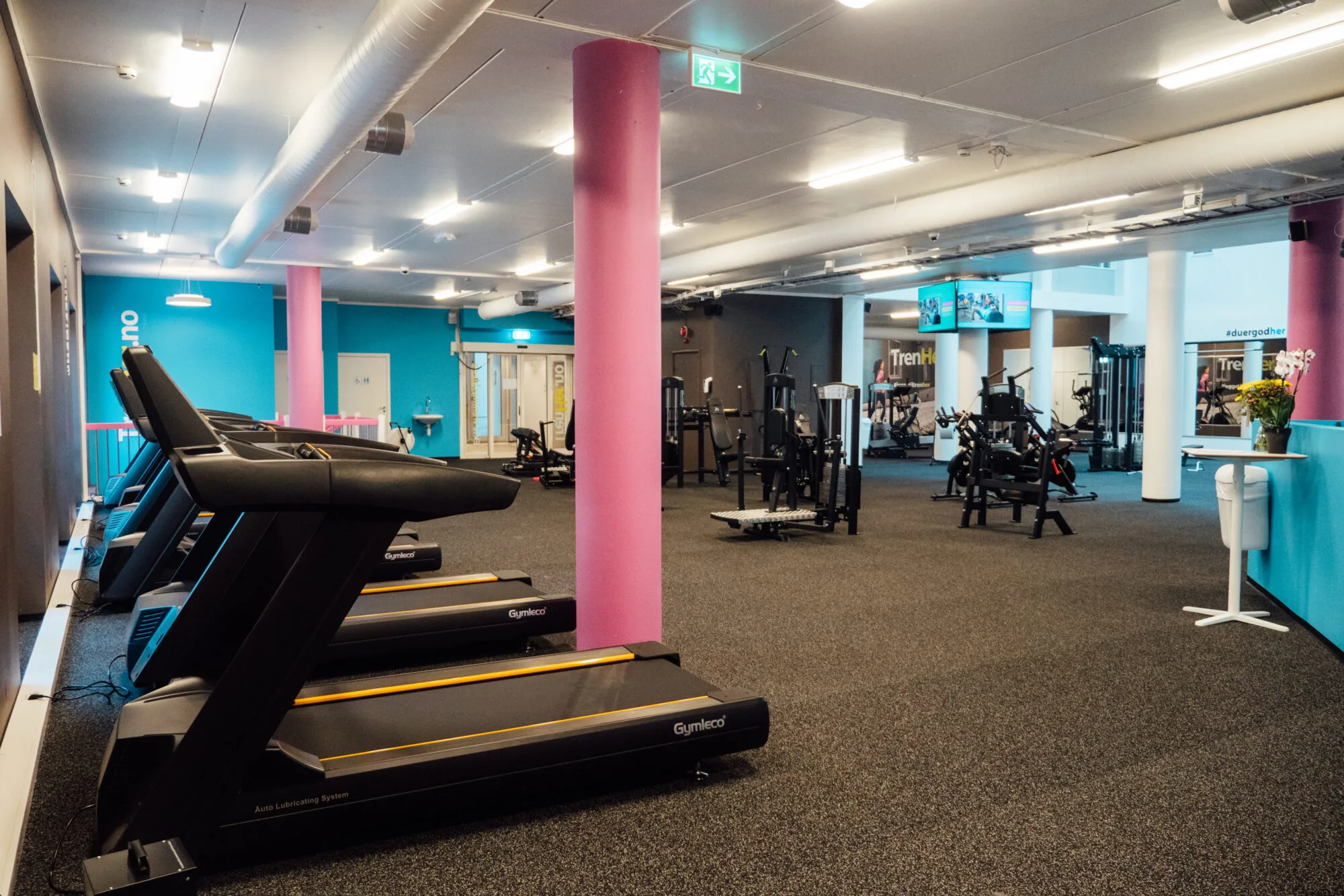 TRENHER FJORDGATA – bilde 6