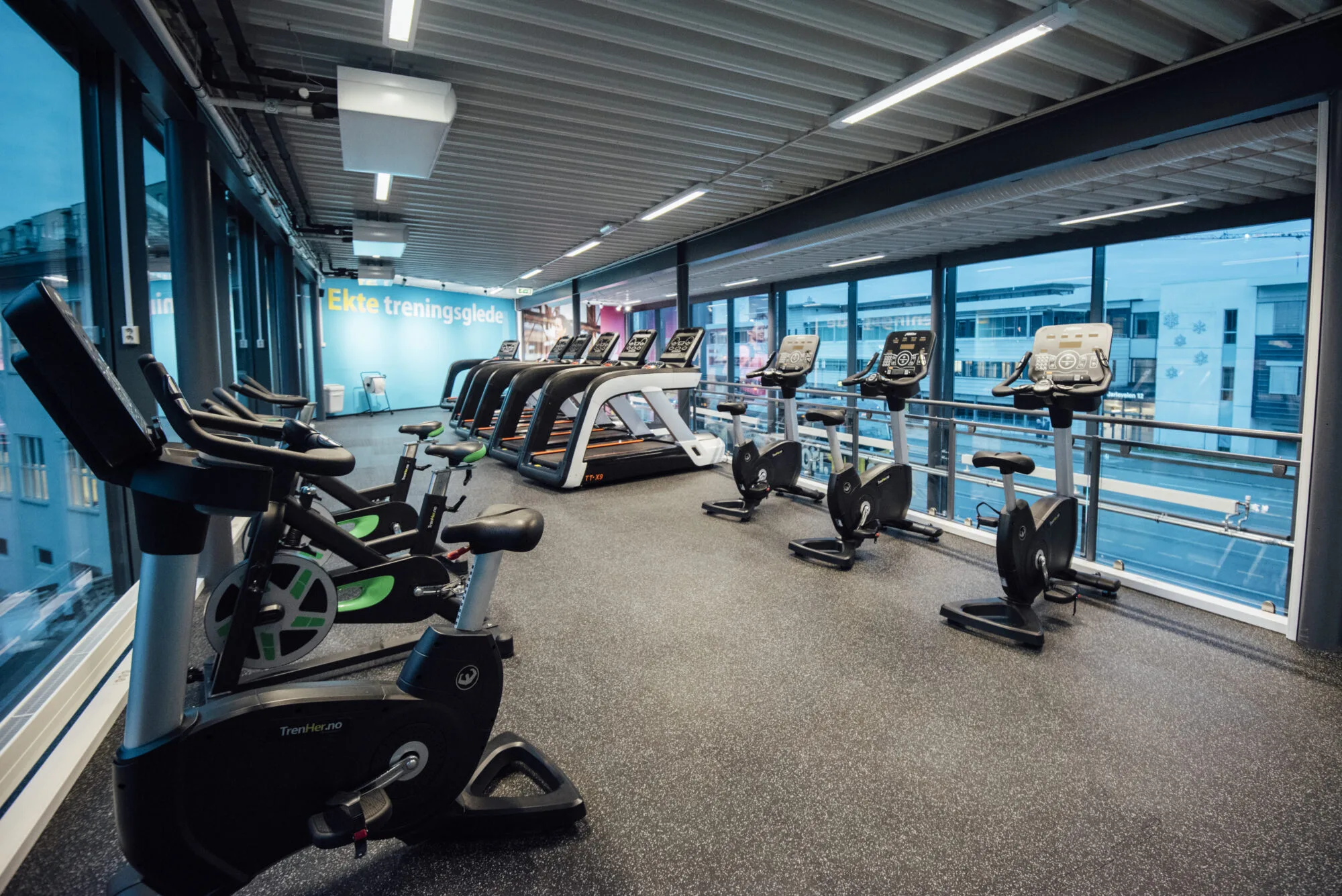 TRENHER LILLEBY – bilde 4