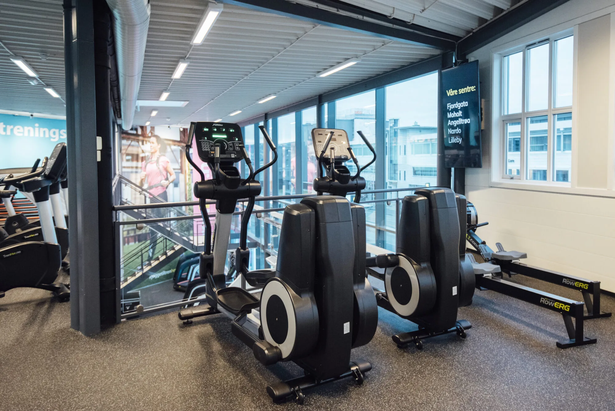 TRENHER LILLEBY – bilde 5