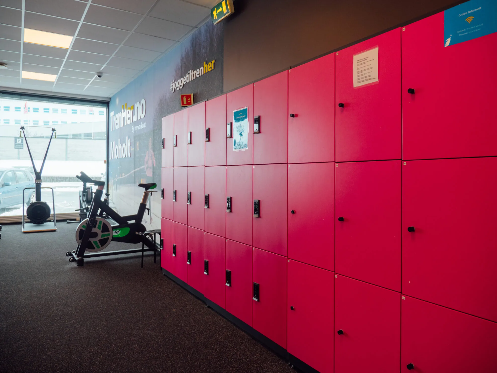 TRENHER MOHOLT – bilde 2