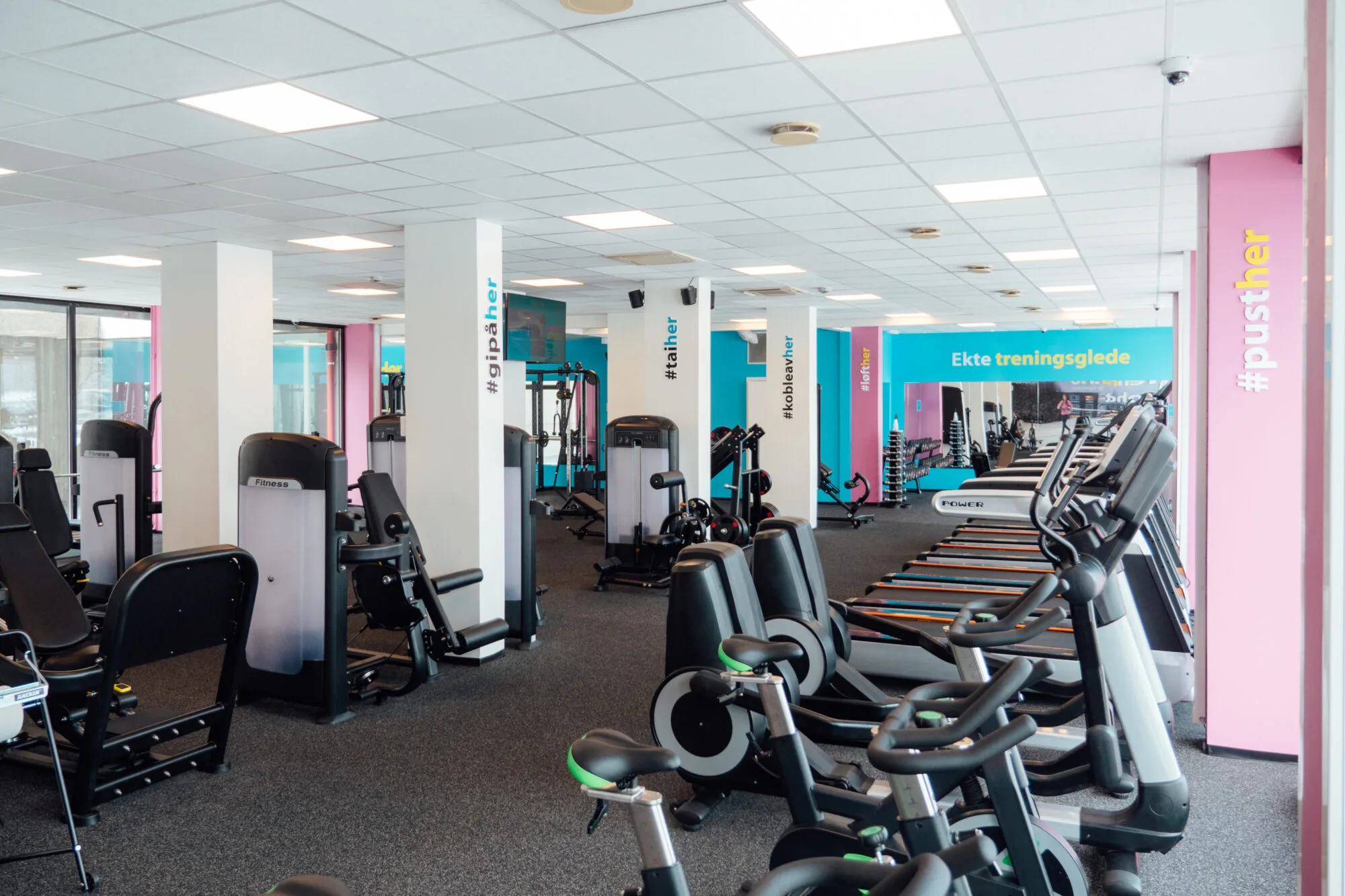 TRENHER MOHOLT – bilde 4