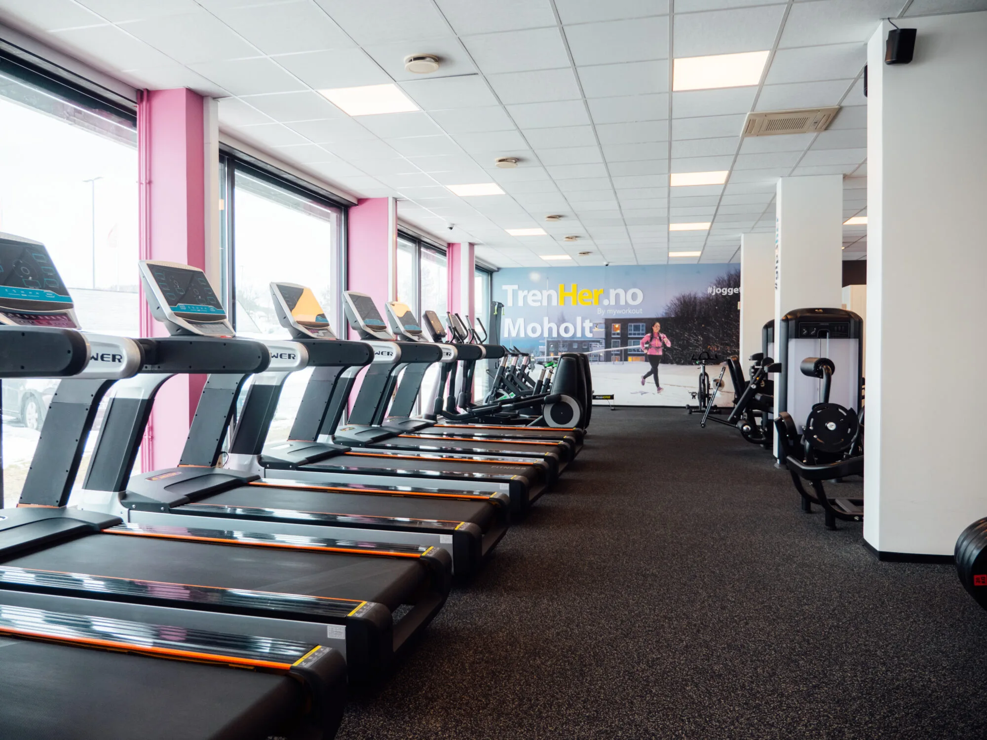 TRENHER MOHOLT – bilde 5