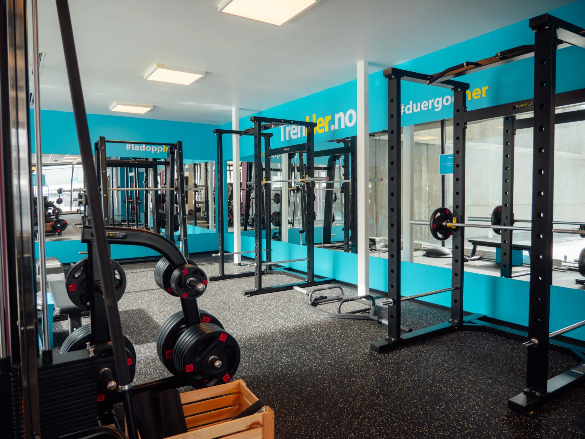 TRENHER MOHOLT – bilde 6