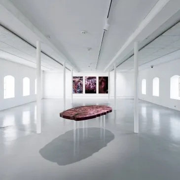 URDAL ART AND PHOTOGRAPHY – bilde 1