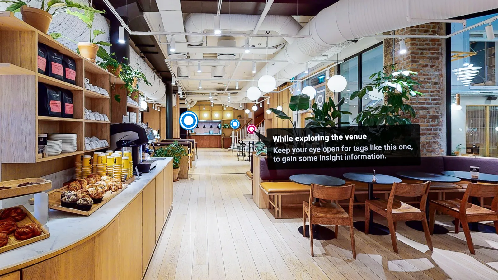 VISCAN PULIT – bilde 2