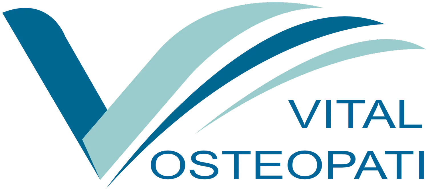 Vital Osteopati – Maren-Iren Jansen Hasle